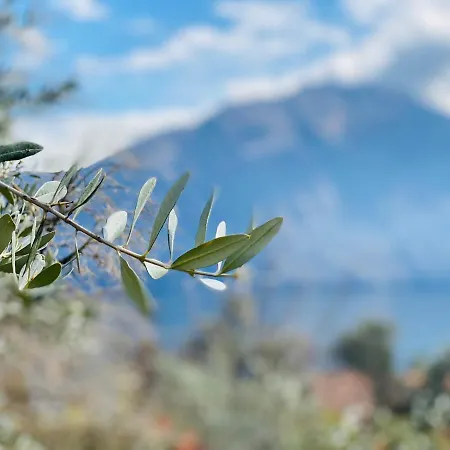 Apartment Riva Lenno *